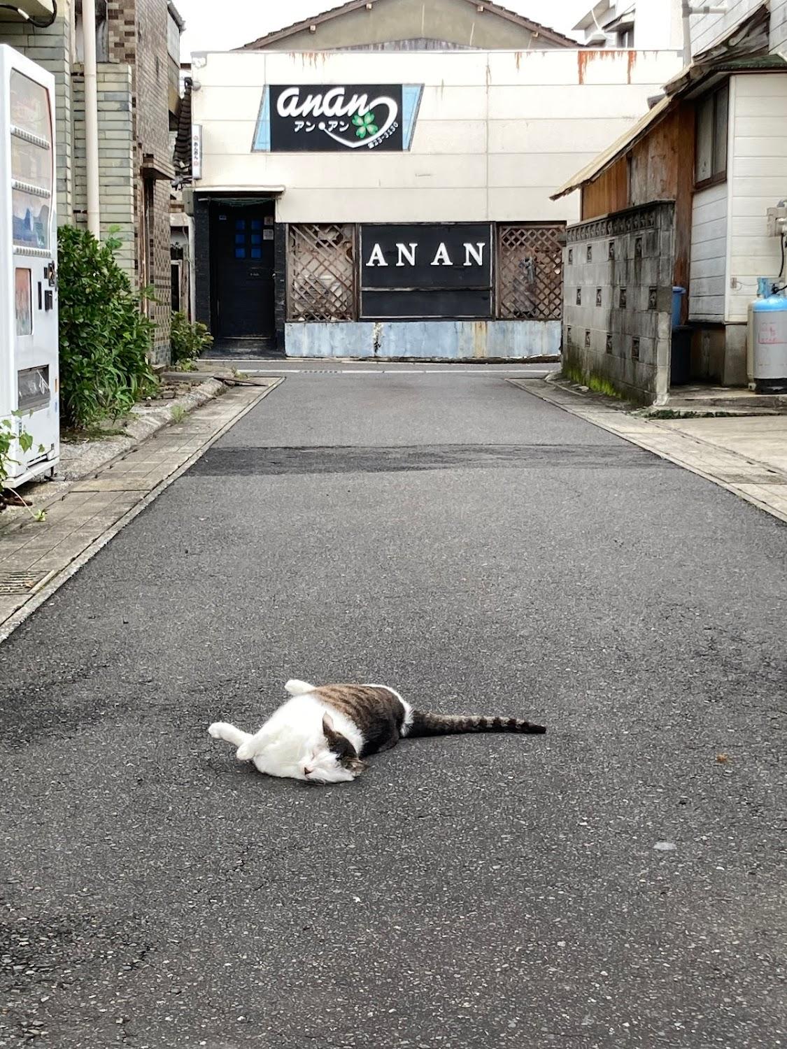 Cover Image for 種子島西之表市民宿みゆき