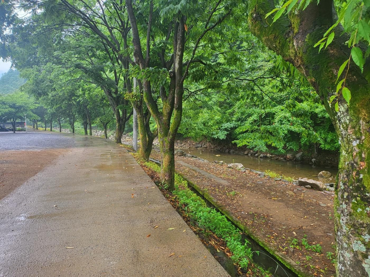 Cover Image for 소백산신선펜션오토캠핑장민박