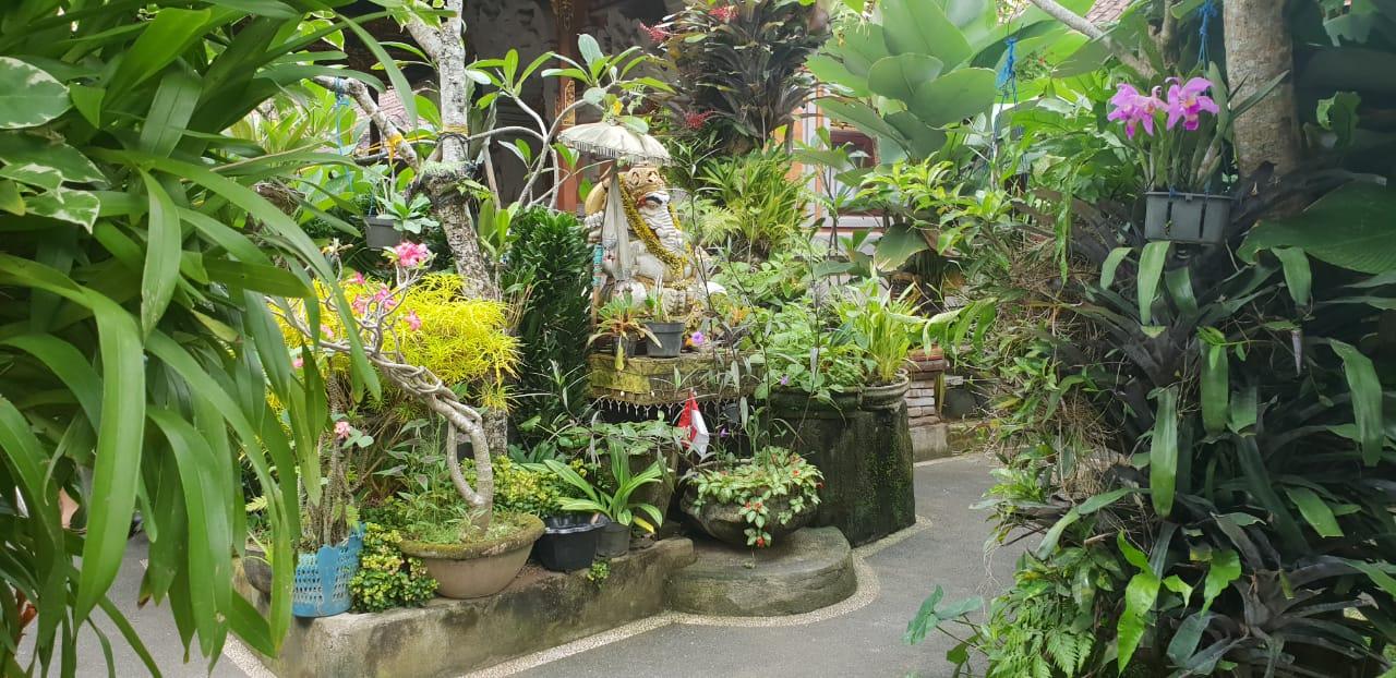 Cover Image for Kailash Homestay Ubud