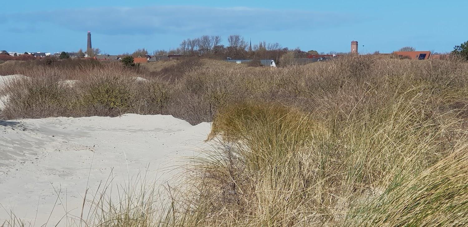 Cover Image for Südstrandoase Borkum
