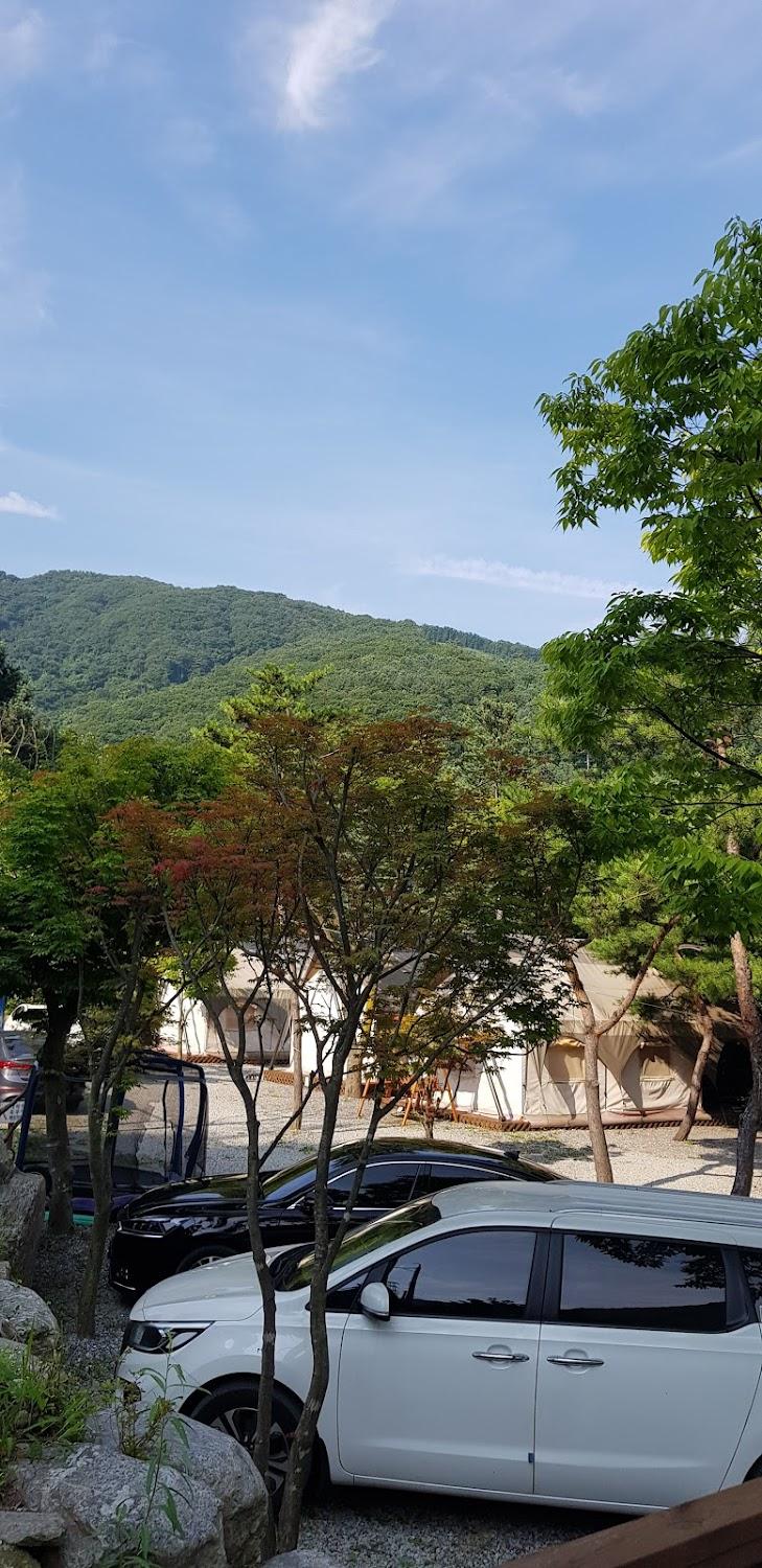 Cover Image for 리즈밸리