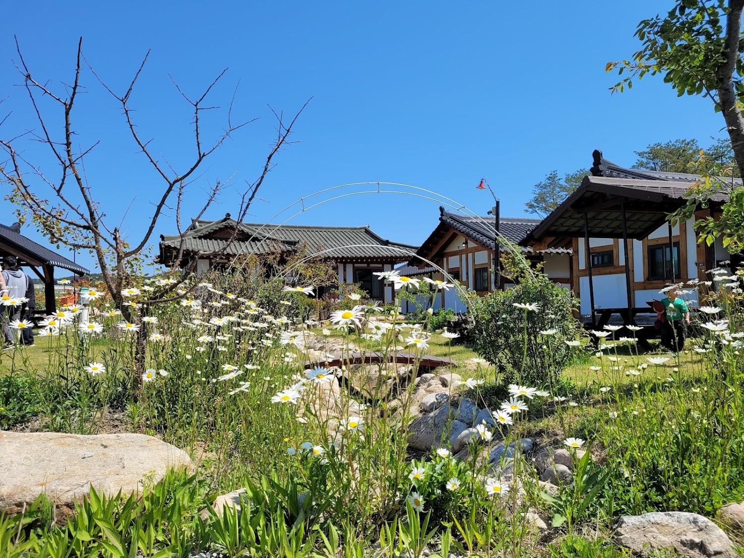 Cover Image for 설악나들펜션
