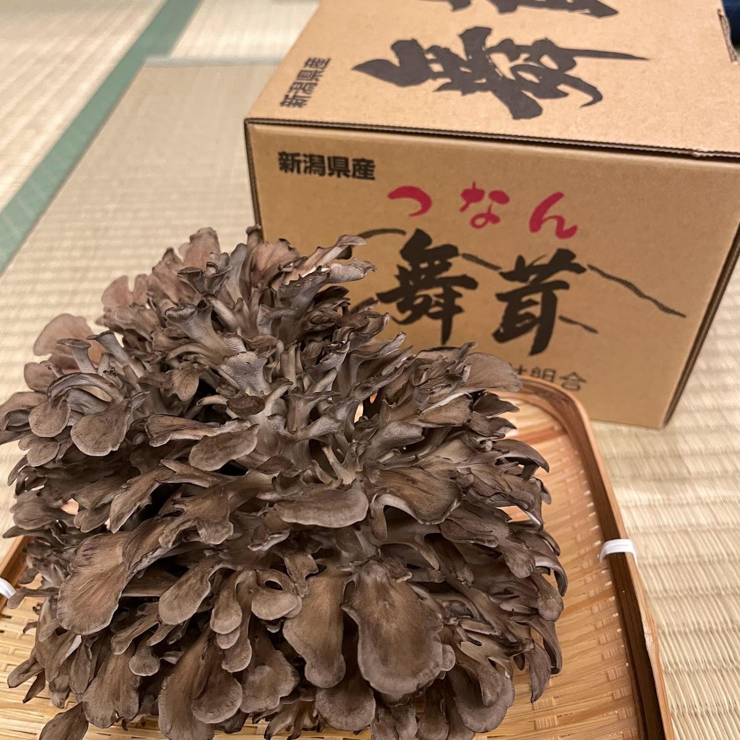 Cover Image for Wataya Ryokan