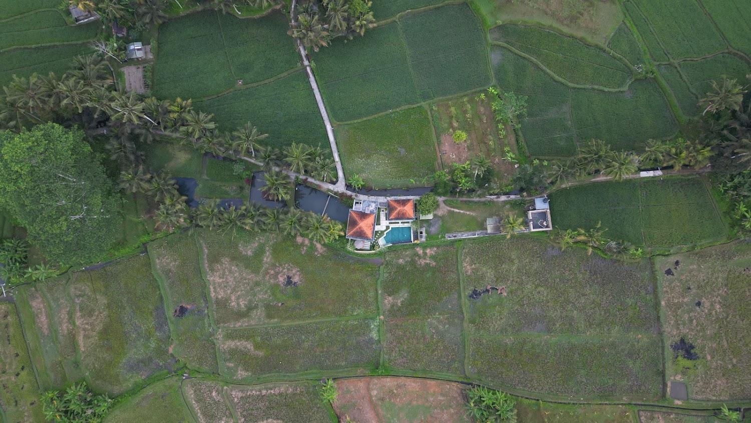 Cover Image for Ảnh At a glance