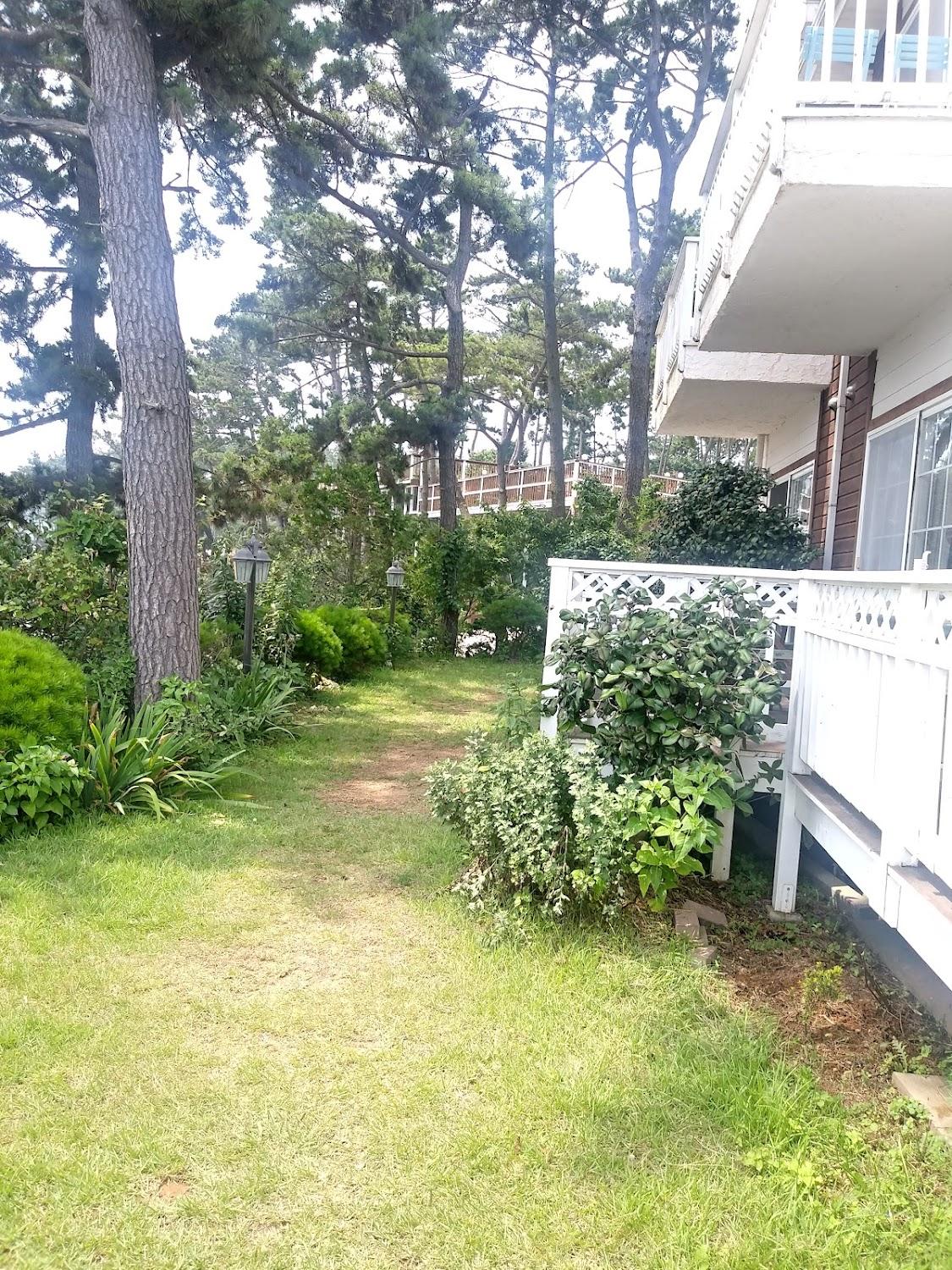 Cover Image for 바다와하얀등대