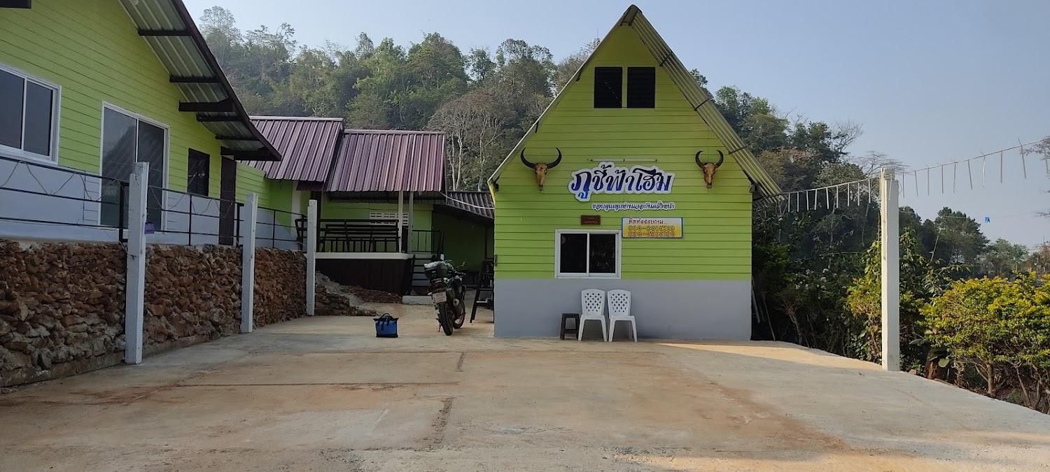 Cover Image for Phu Chi Fa New