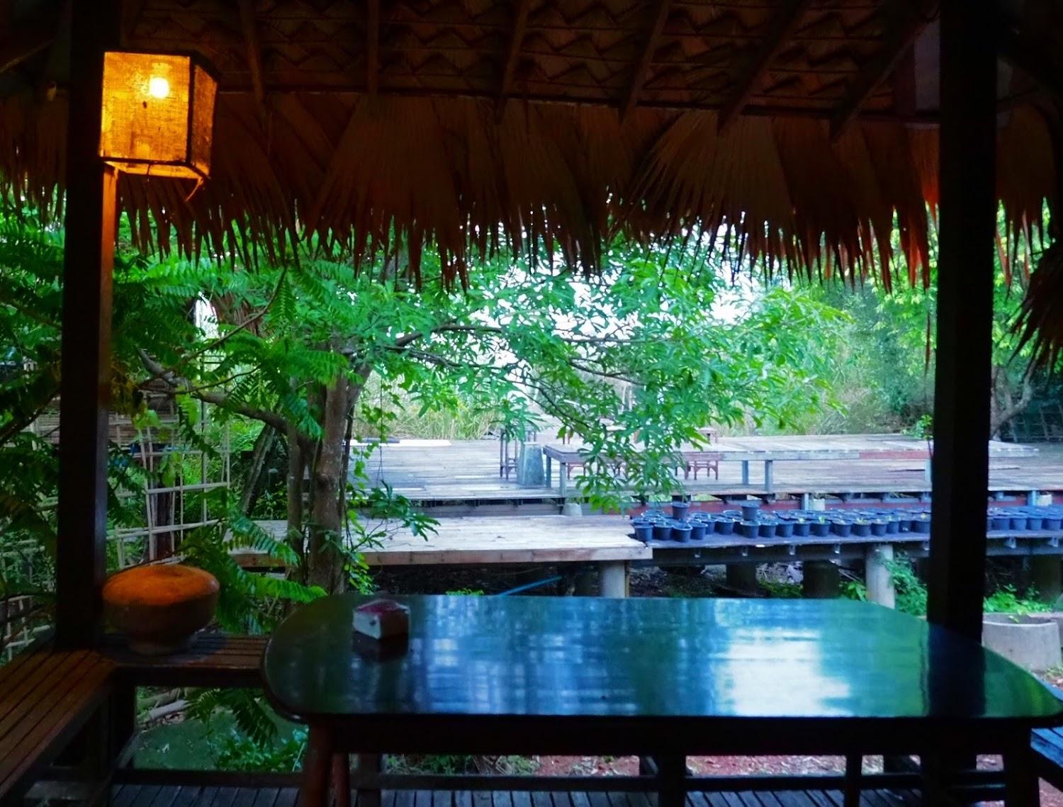 Cover Image for Wetland Camp