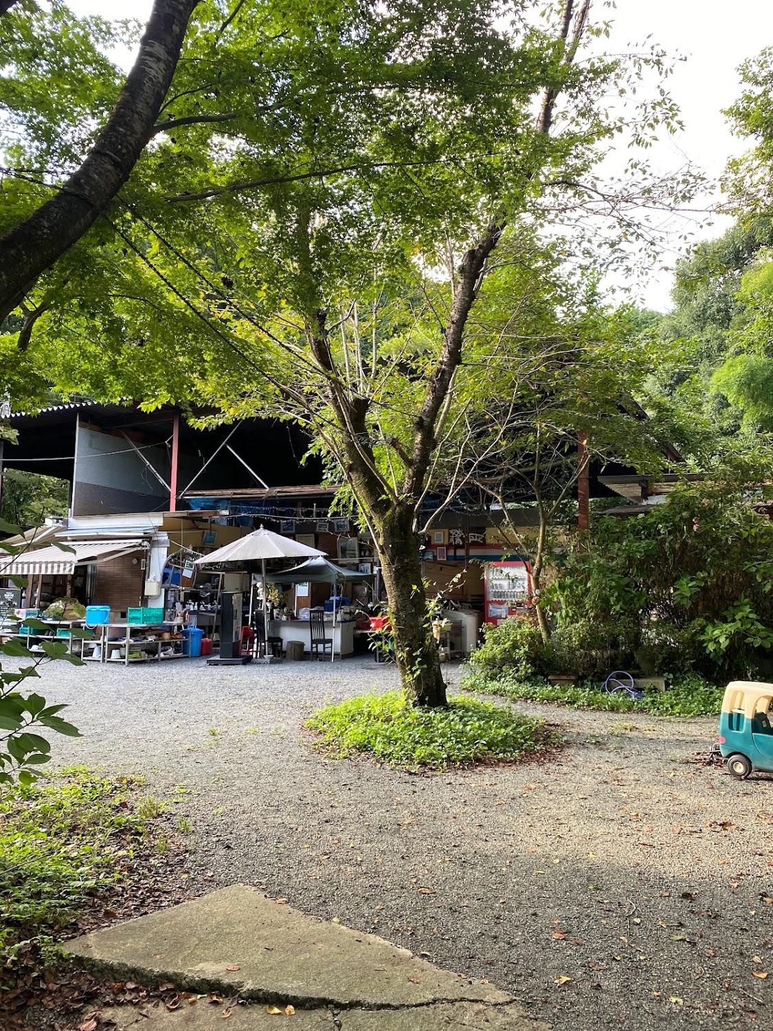 Cover Image for Shinfuji Auto Camping Ground