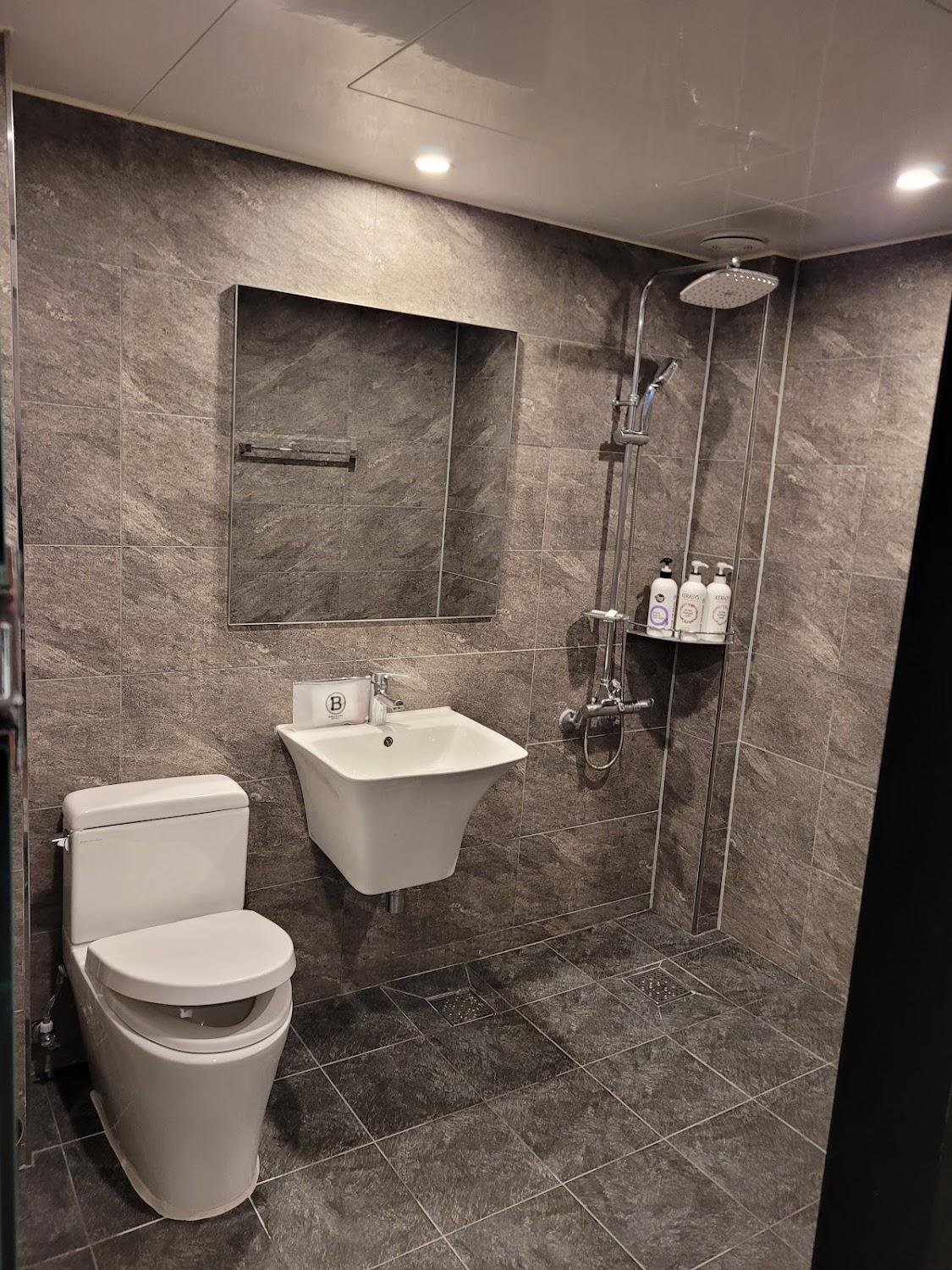 Cover Image for Brown-Dot Hotel