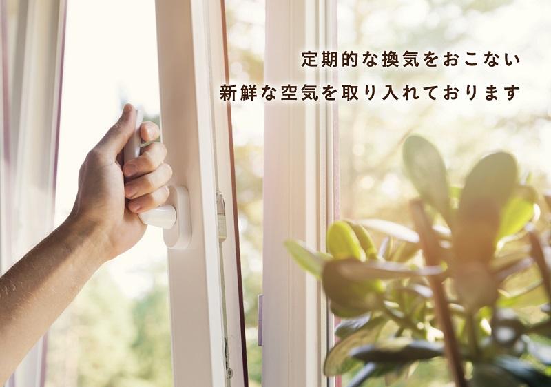 Cover Image for Gifu hotels movie movie