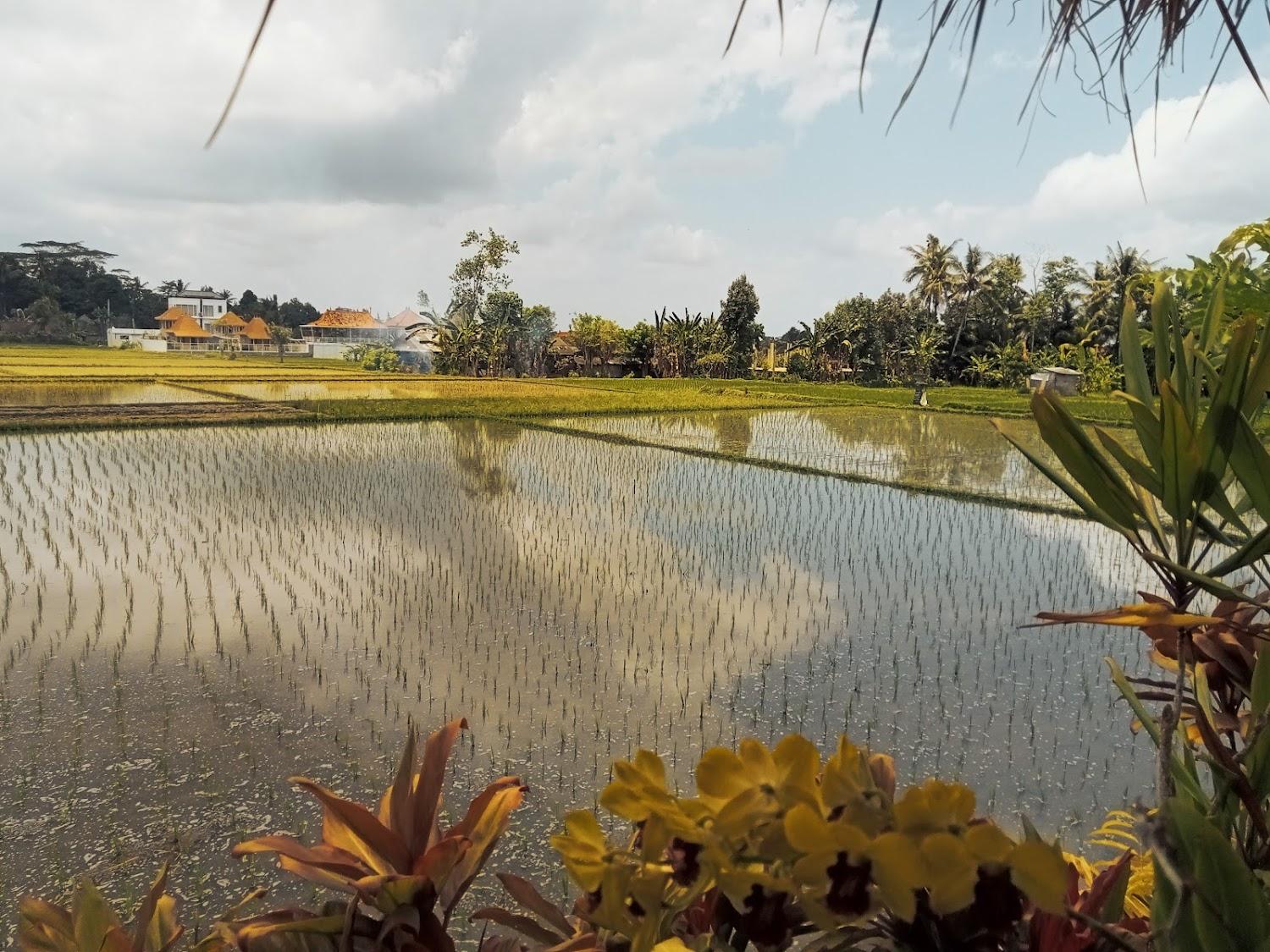 Cover Image for Nila Chandra Bungalows