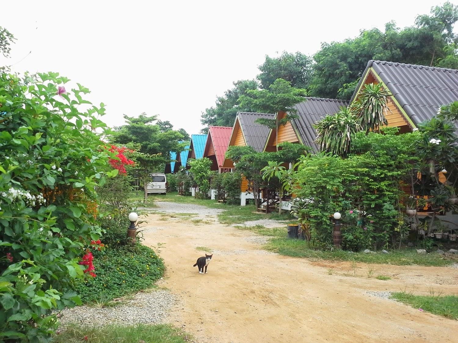 Cover Image for Ảnh At a glance