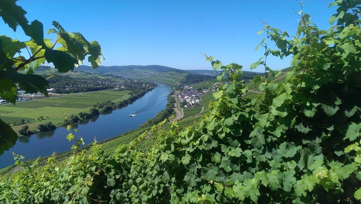 Cover Image for Wein- und Gästehaus Genetsch
