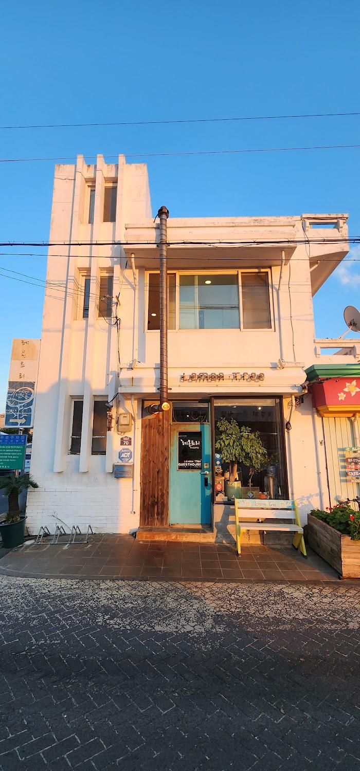 Cover Image for JEJU GUESTHOUSE LEMONTREE