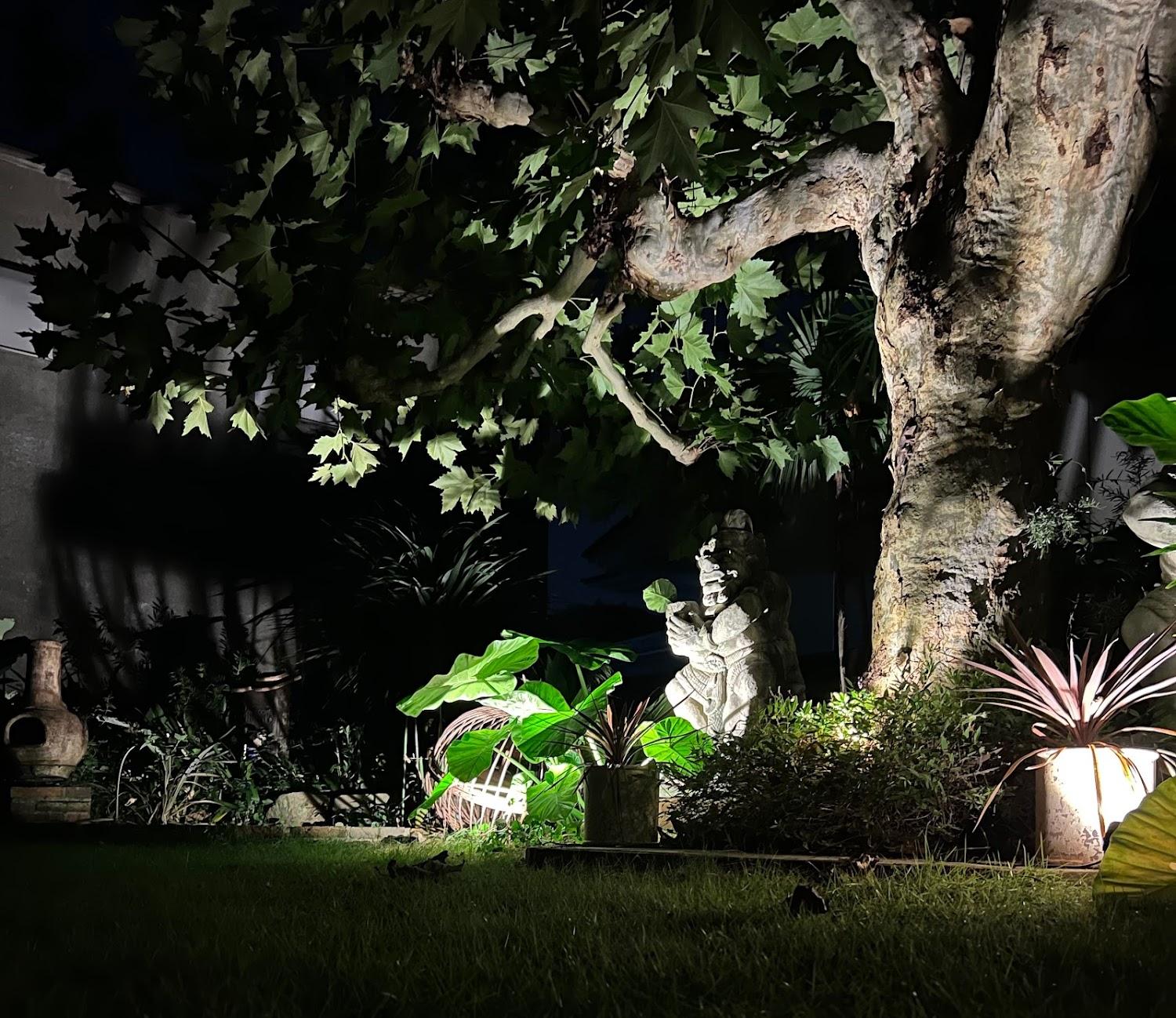 Cover Image for Casa di acero