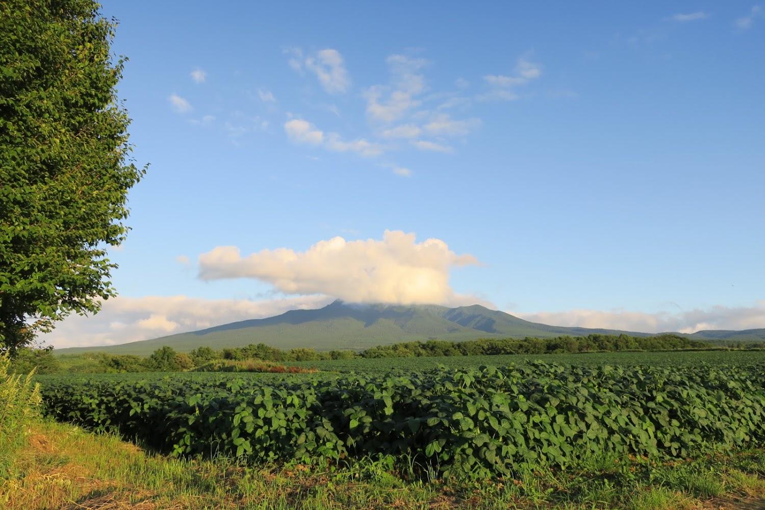 Cover Image for ロッジ風景画