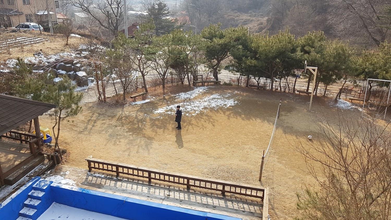Cover Image for 솔빛길펜션