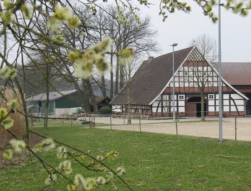 Cover Image for Hof Niederrielage