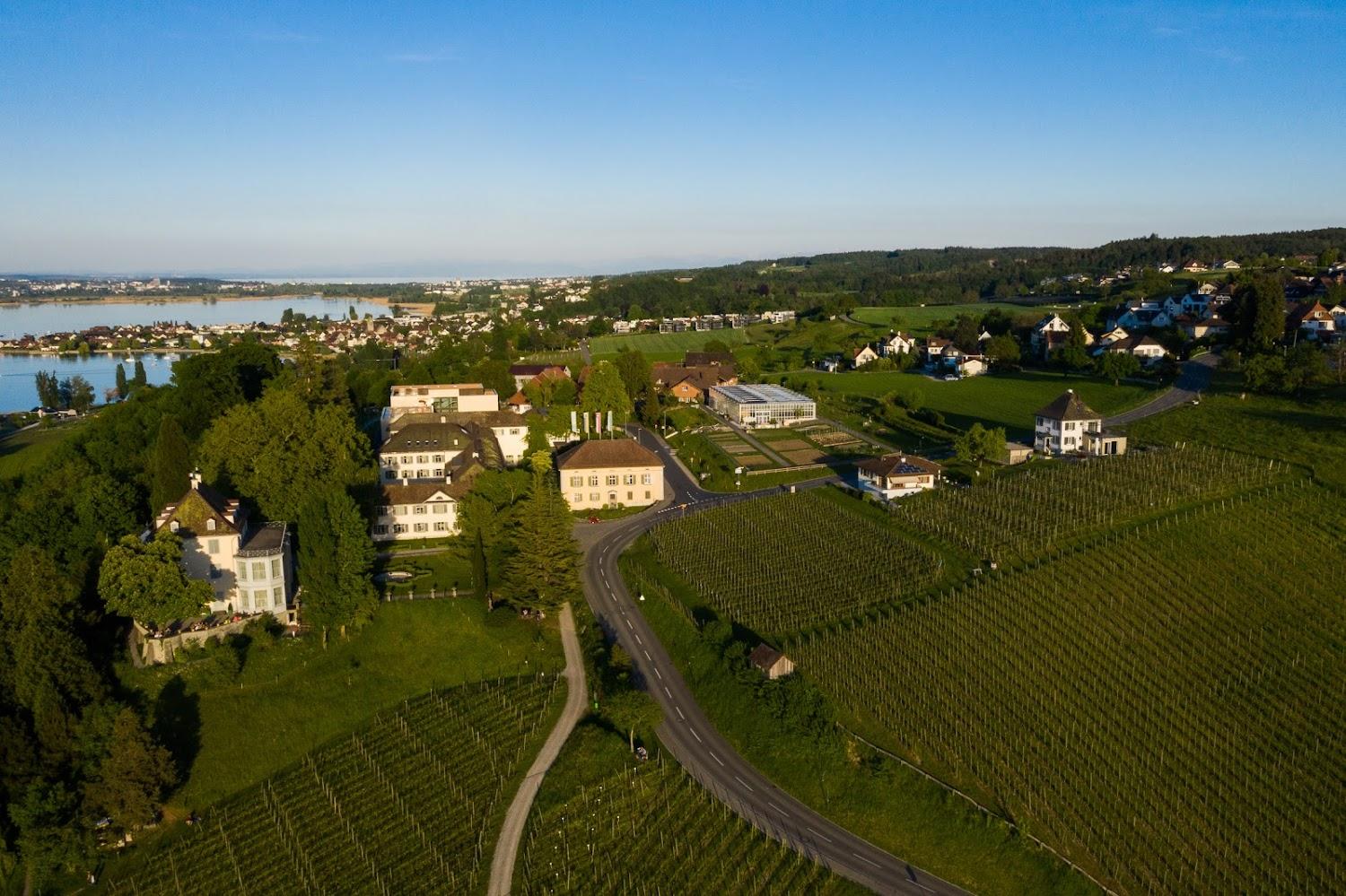 Cover Image for Educational and counseling center Arenenberg