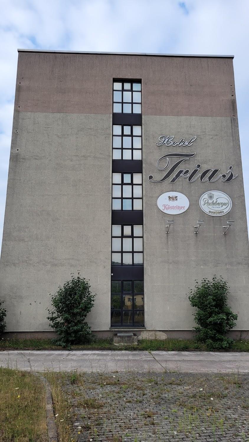 Cover Image for Trias