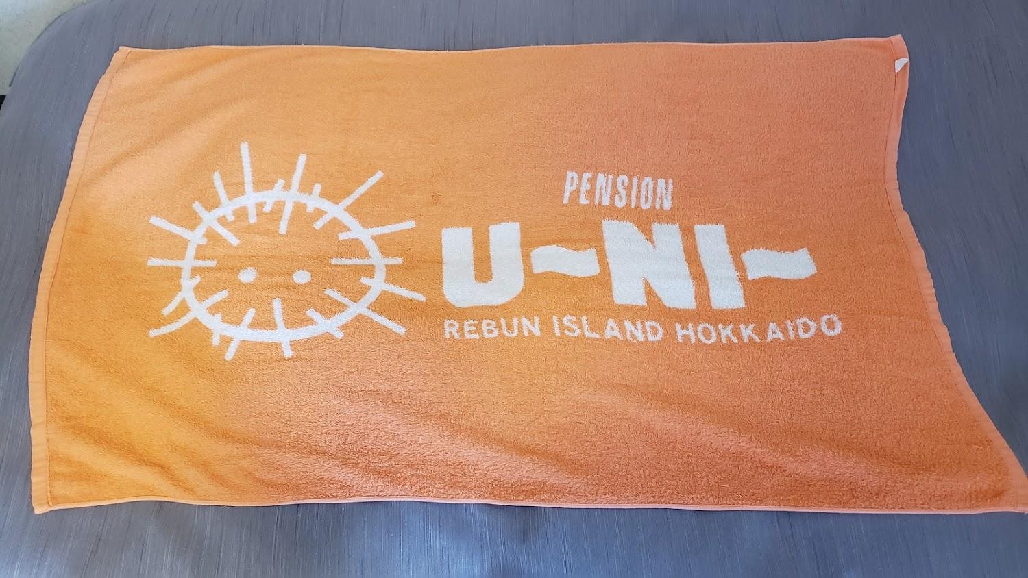 Cover Image for Pension Uunii