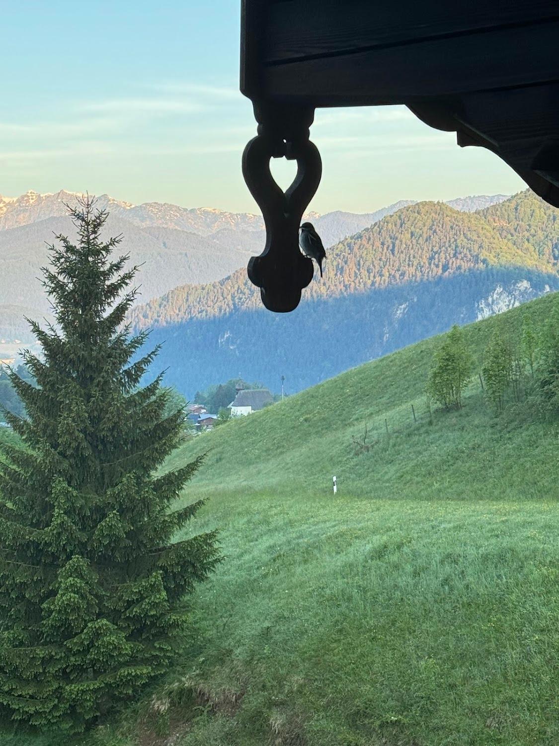 Cover Image for M.Färbinger