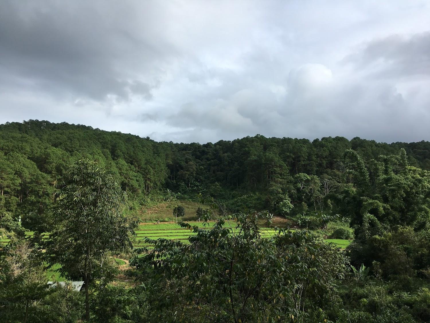 Cover Image for Lung Pala Guest House