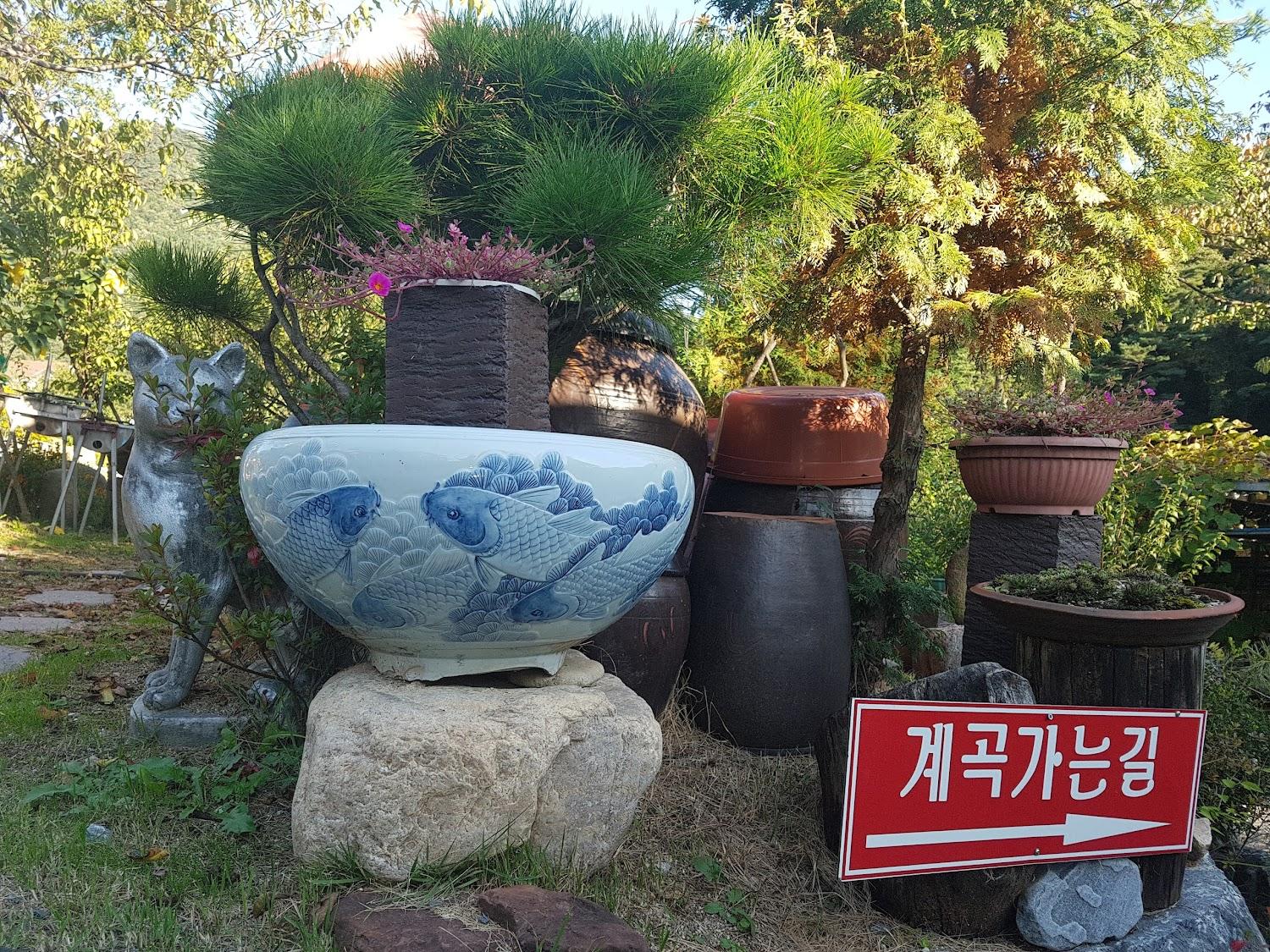 Cover Image for Jecheon Healing Pension
