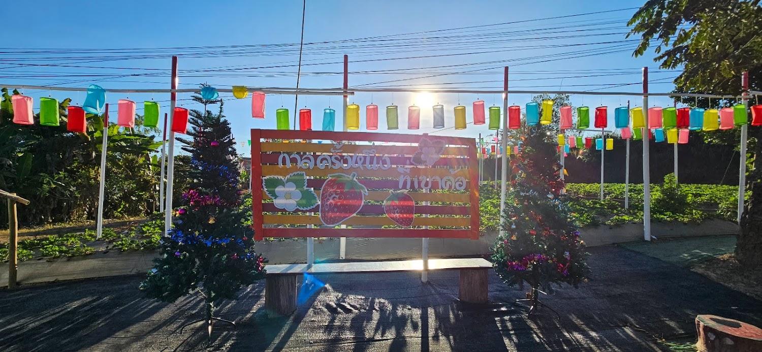 Cover Image for ไร่ธรรมนูญรีสอร์ท