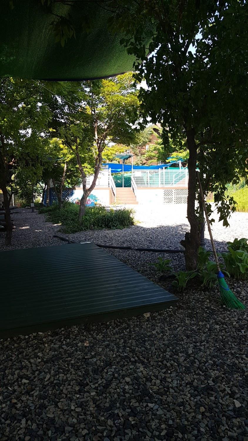 Cover Image for 하늘땅펜션