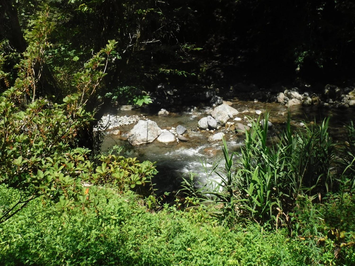 Cover Image for Ryokusenkyo Camping Ground