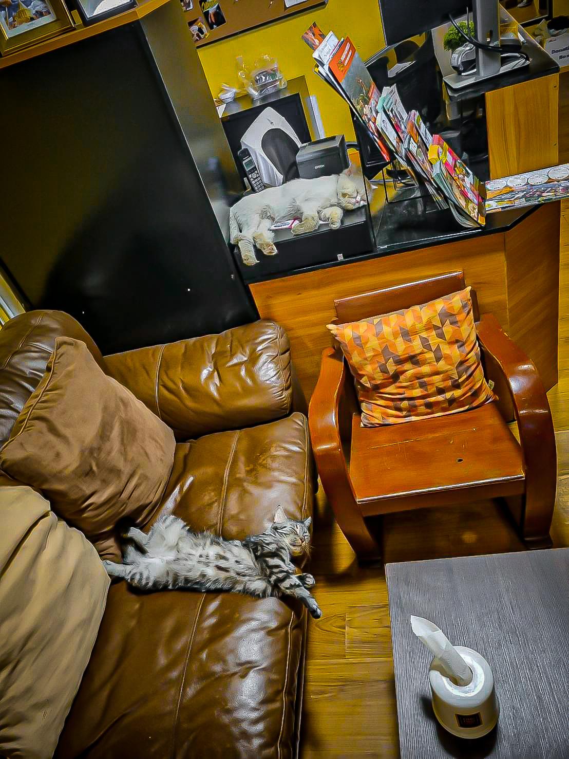Cover Image for Thai Thai Hostel