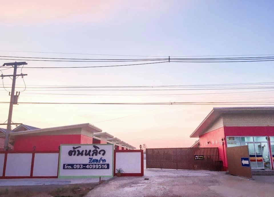 Cover Image for ต้นหลิวรีสอร์ท