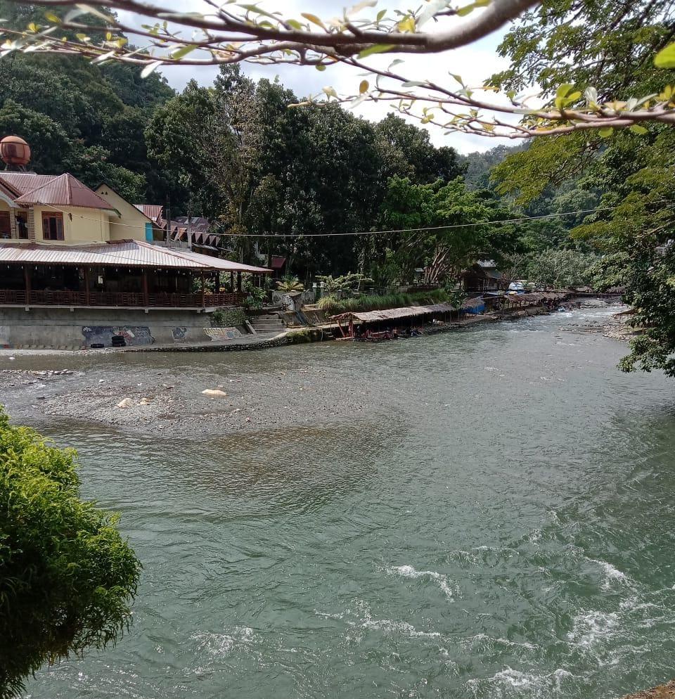 Cover Image for The Dreams Bukit Lawang