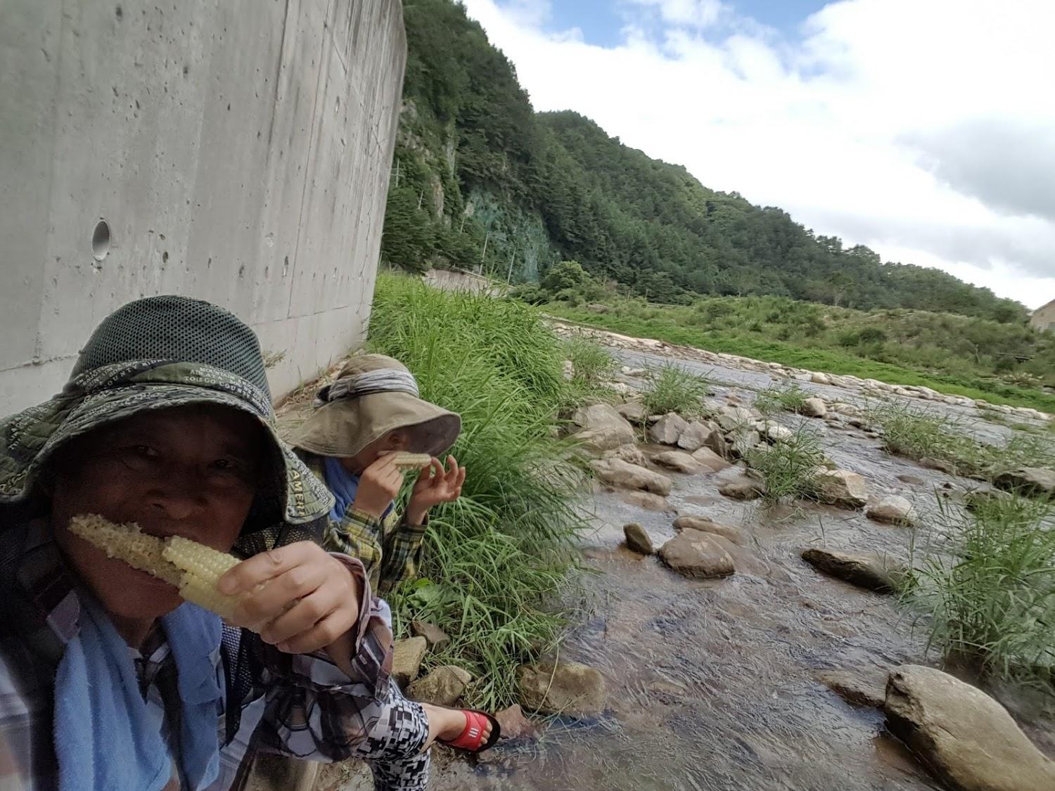 Cover Image for 펜션플람하우스