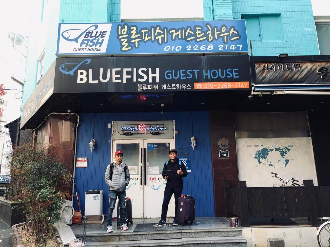 Cover Image for Blue Fish Guest House