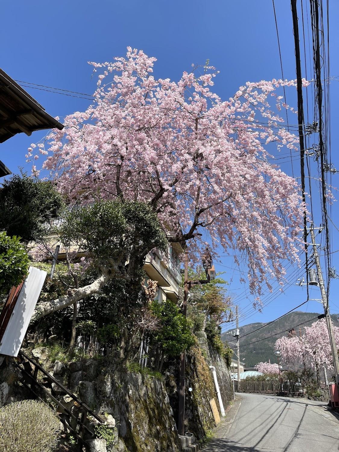 Cover Image for Hakone Ohiradai Onsen