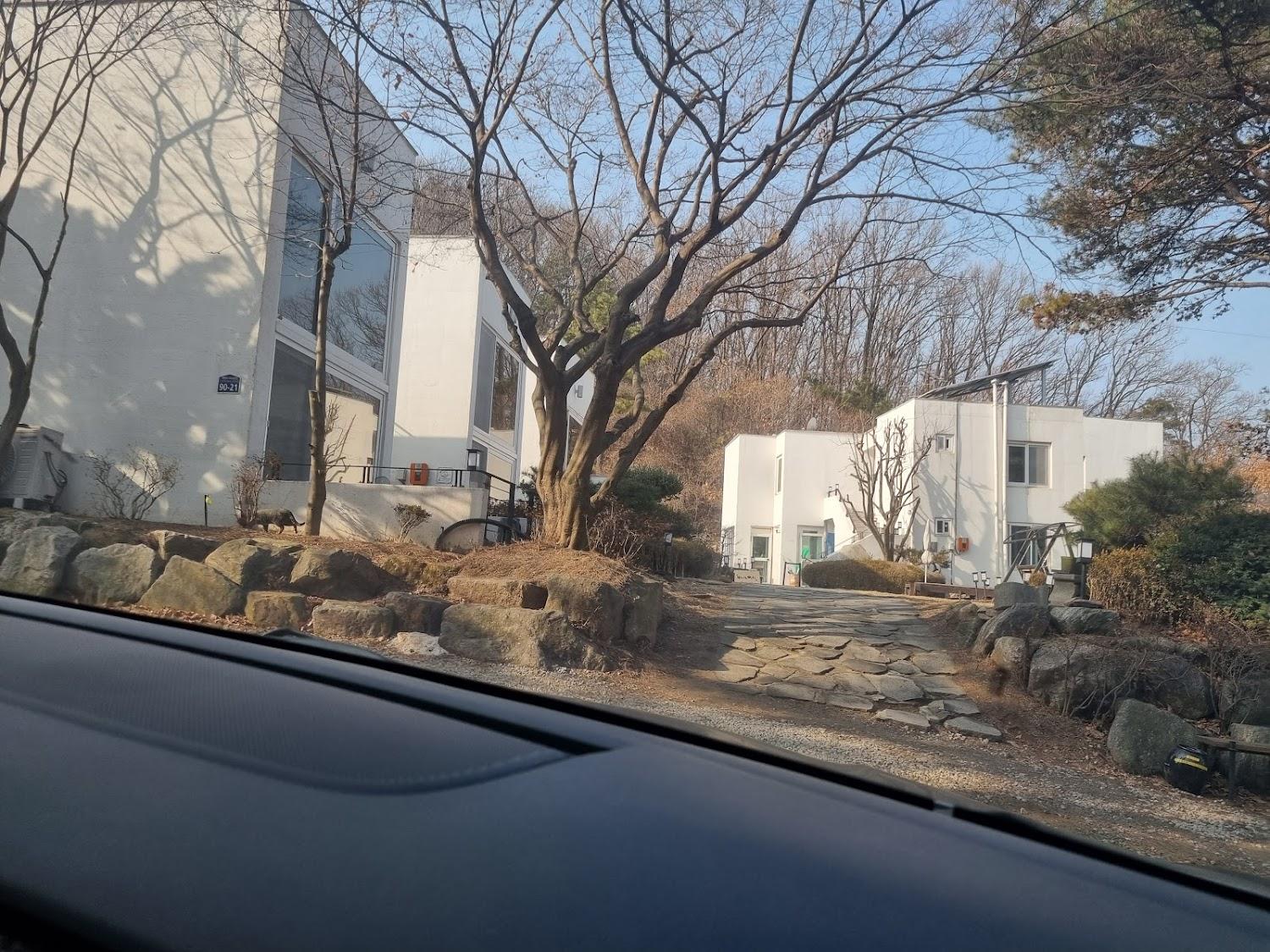 Cover Image for 보나의언덕