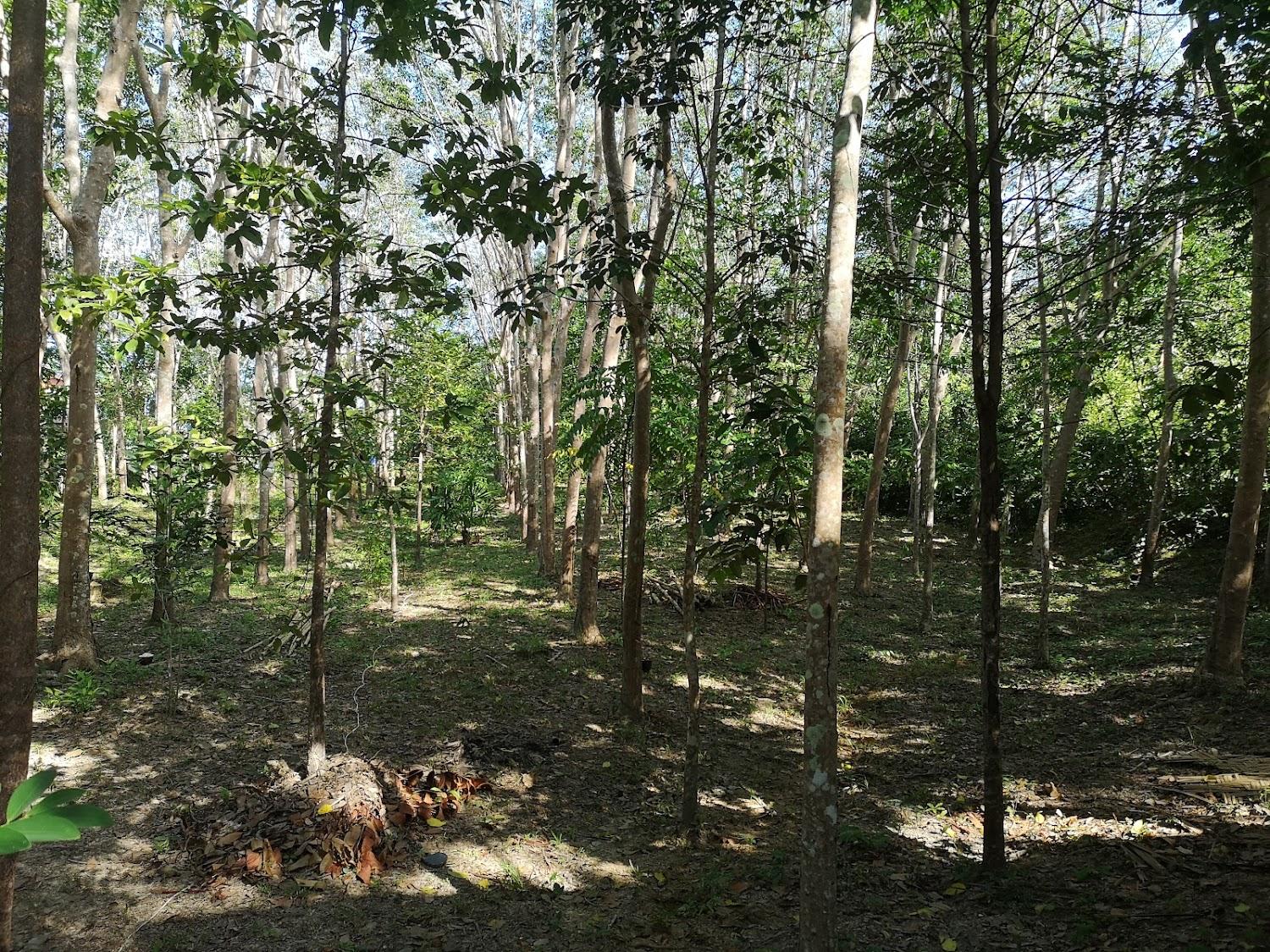 Cover Image for Dahla Lanta Hut