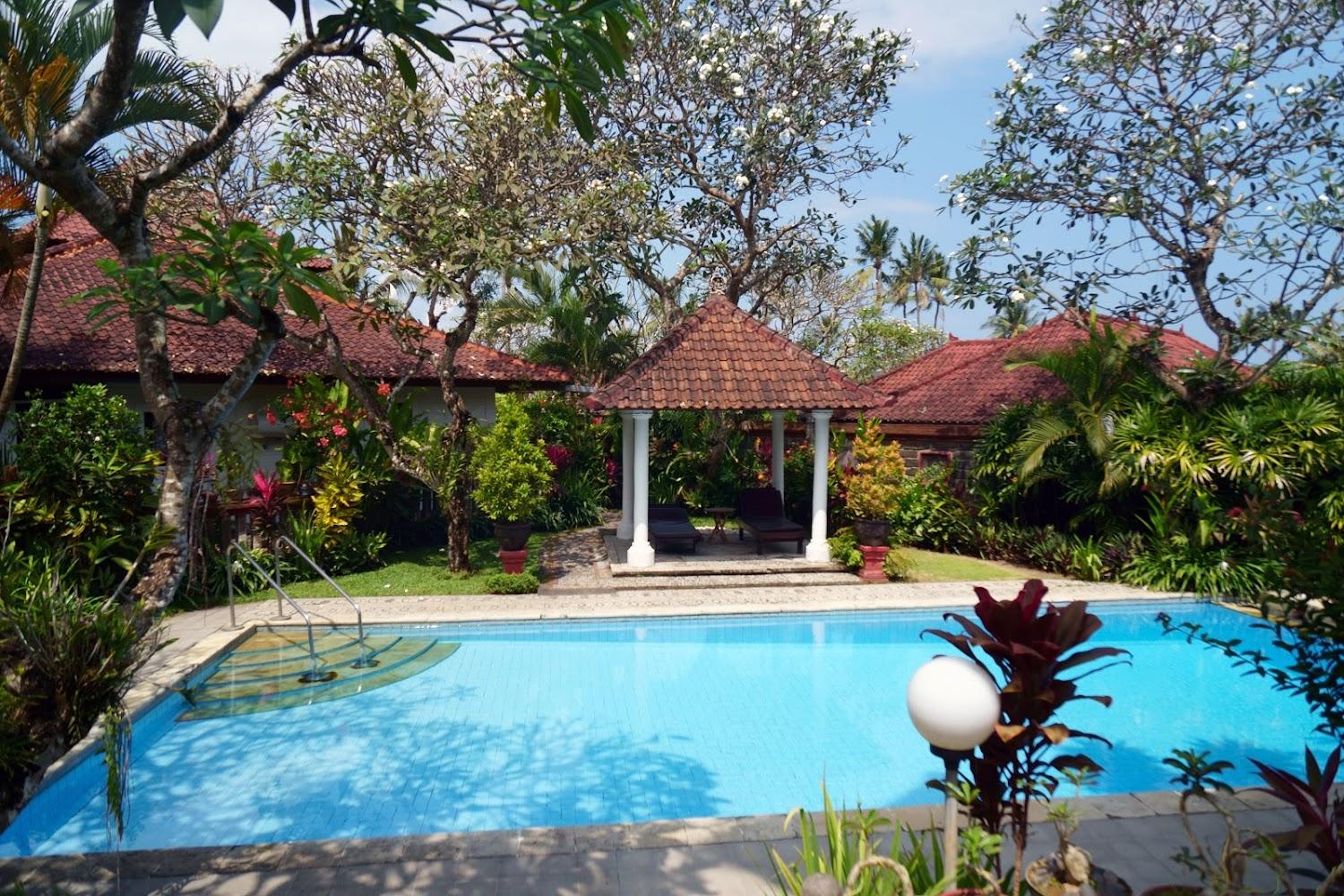 Cover Image for Puri Angsa Saba