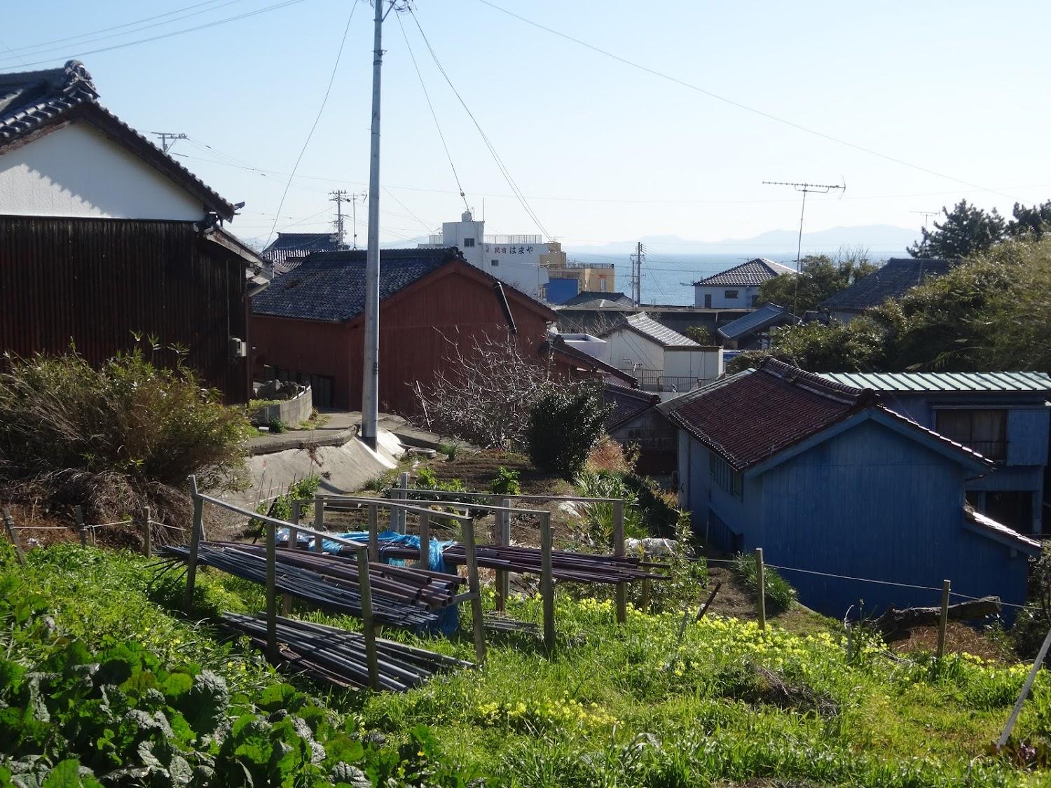 Cover Image for Hamaya