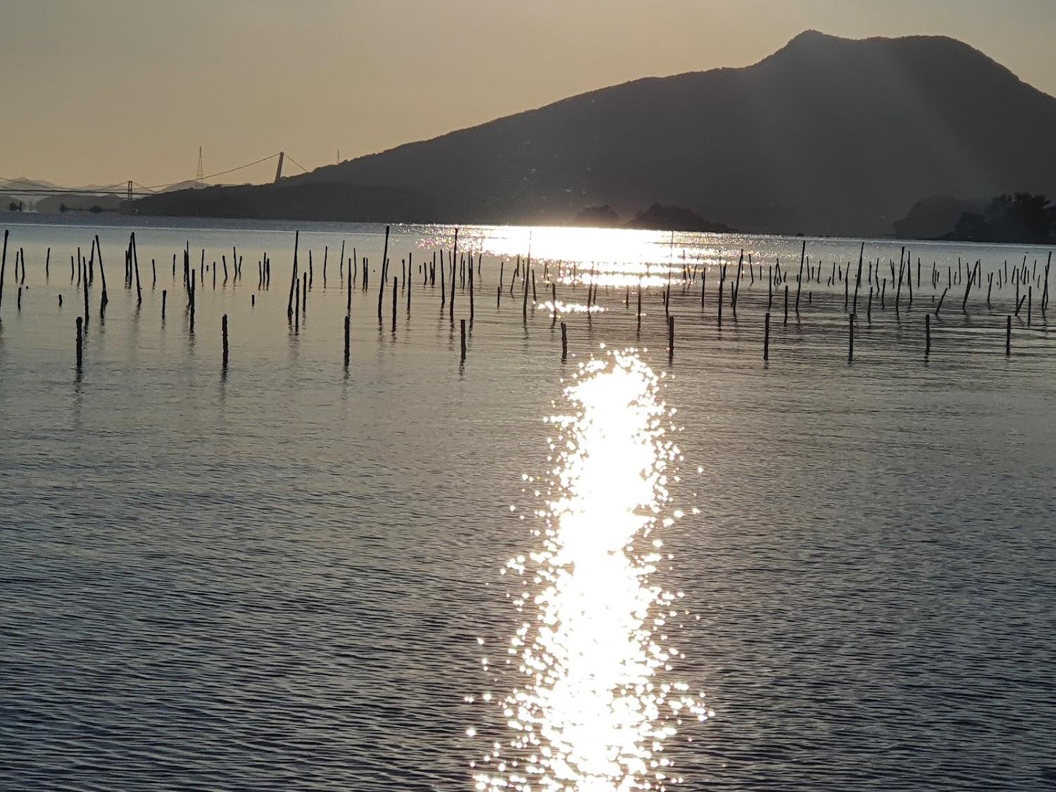 Cover Image for 제이파크