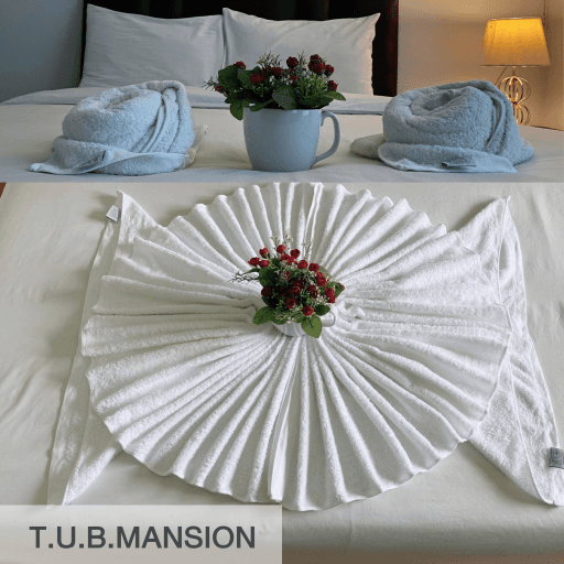 Cover Image for TUB Mansion
