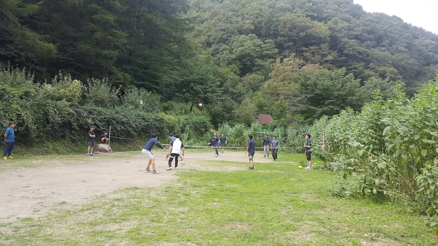 Cover Image for 풀내음펜션