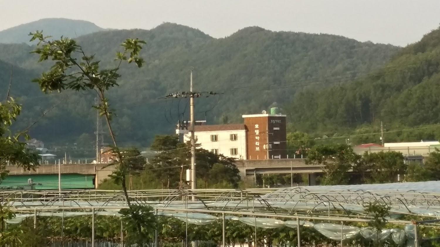 Cover Image for 카리브모텔
