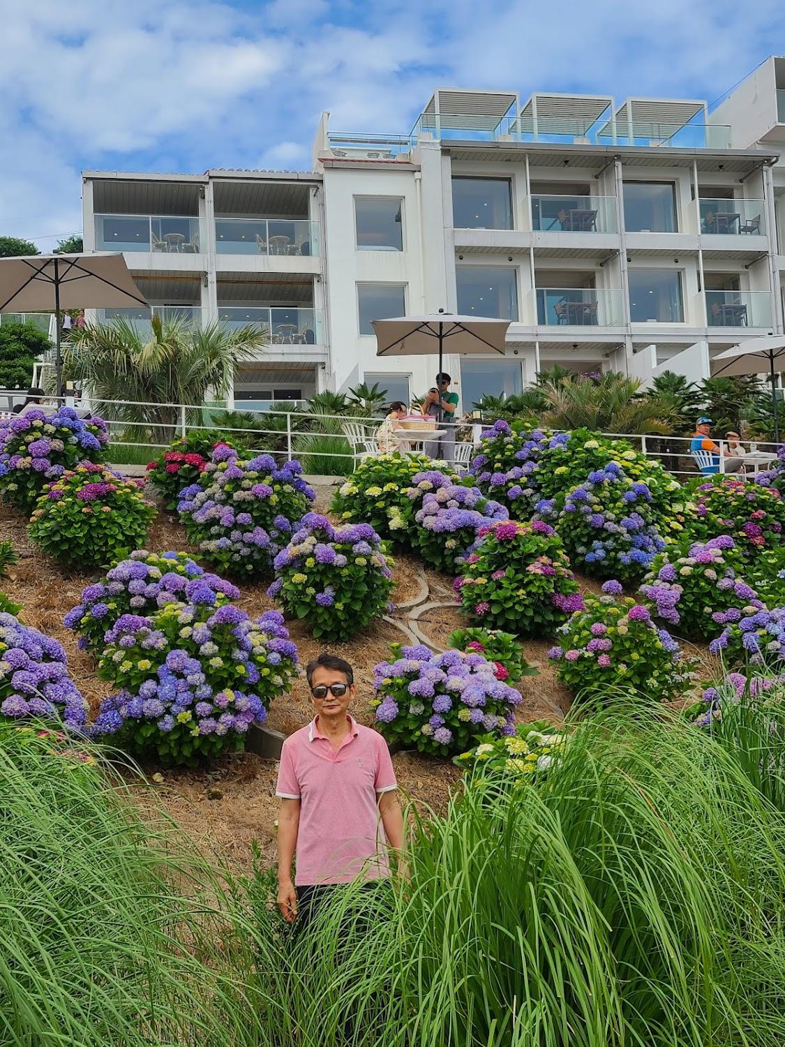 Cover Image for Geoje-do Windy Hill Resort