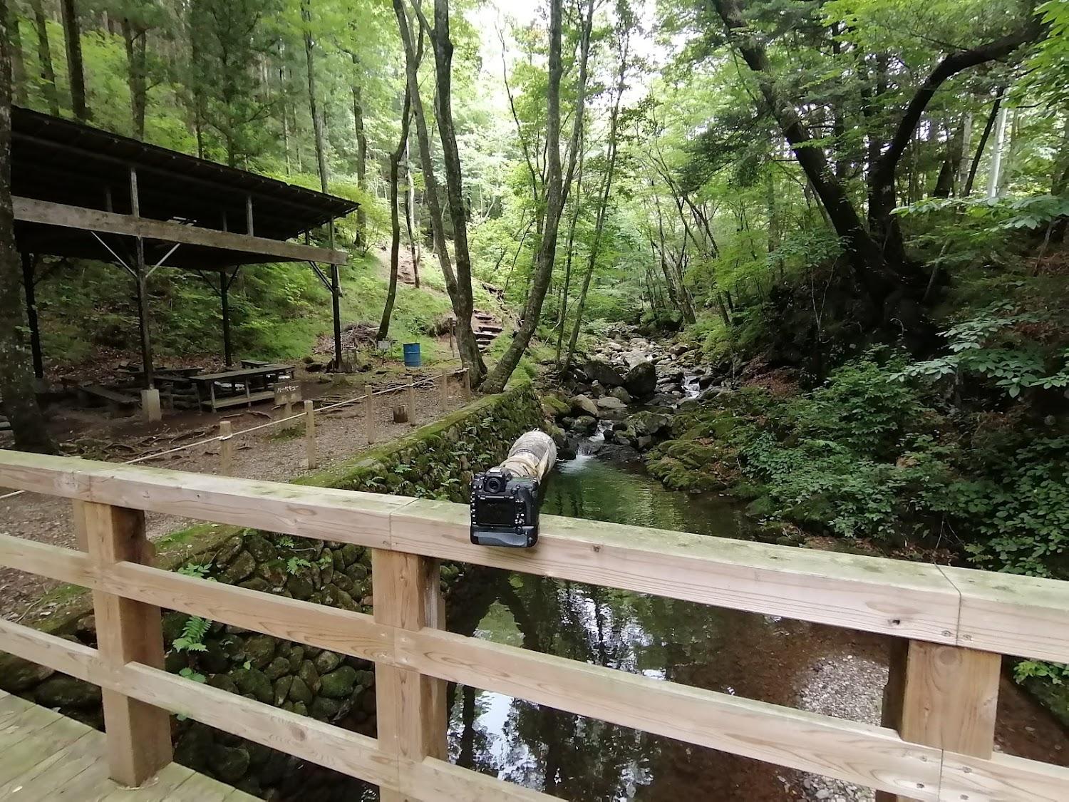 Cover Image for Tochigi Prefectural Forest