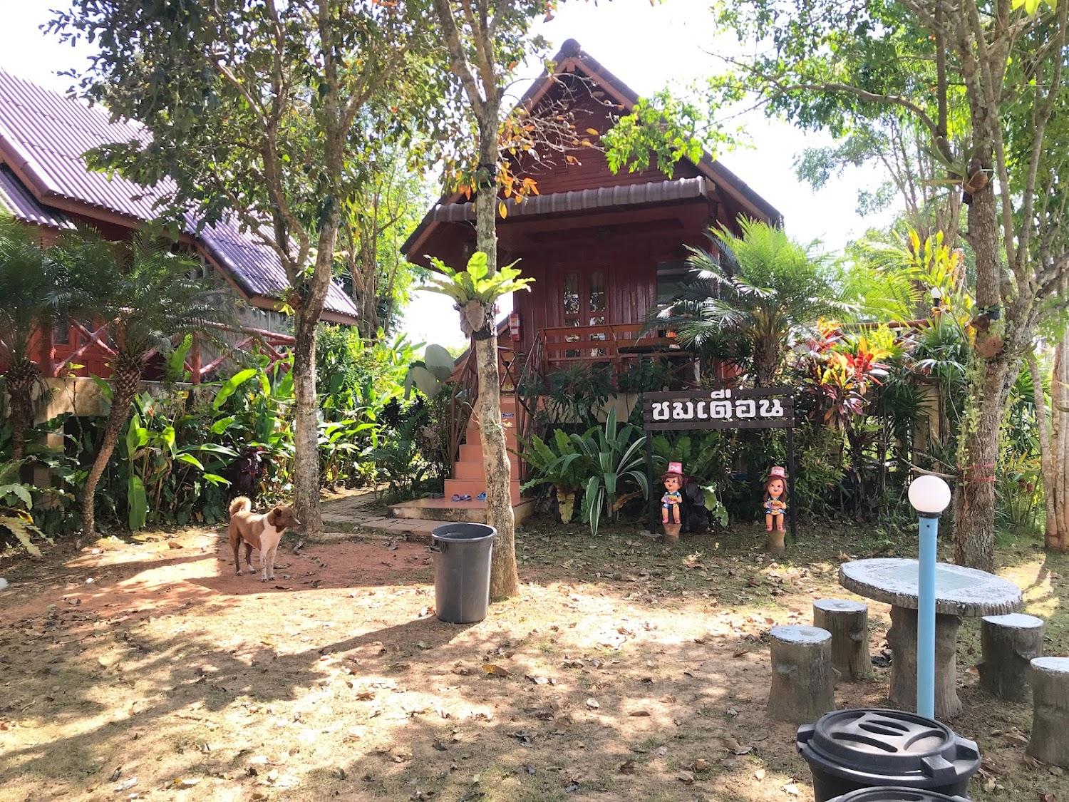 Cover Image for ลัคกี่ ฮิลค์