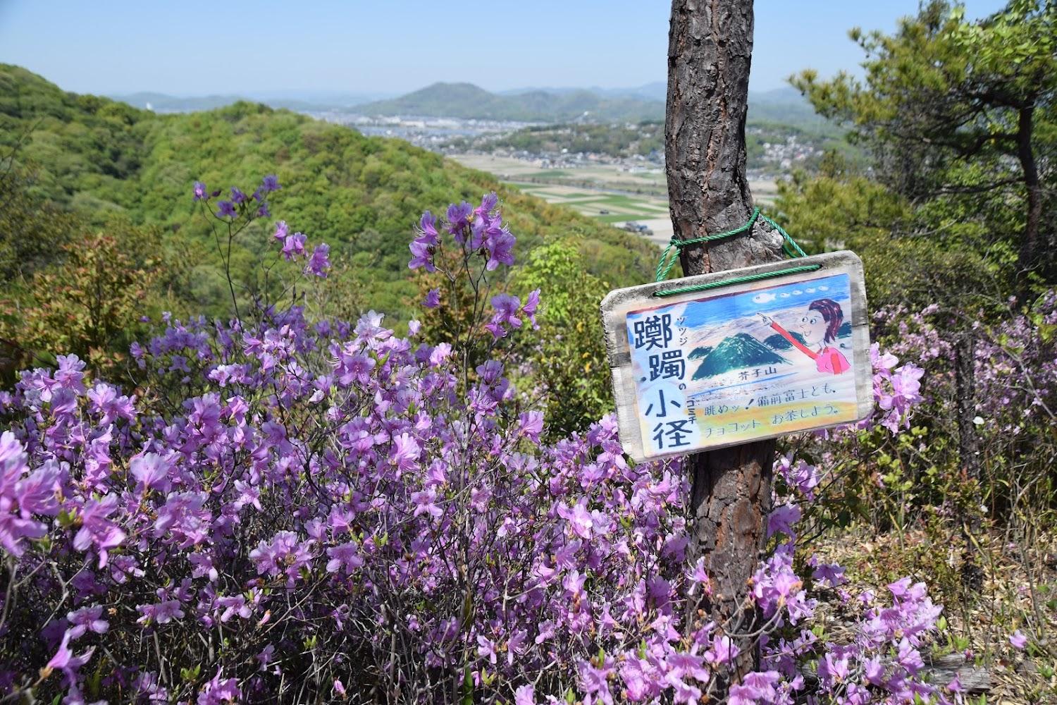 Cover Image for Okushizenkyoikunomori Camping Ground
