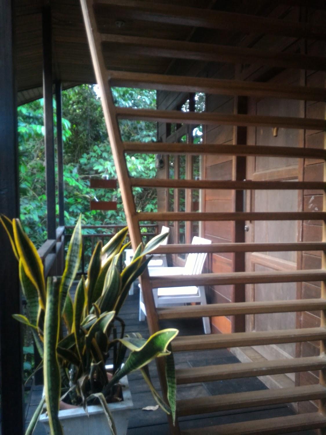Cover Image for Rumah Kedaung